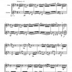 L'hirondelle (flûte et guitare)
