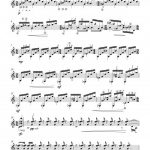 Pygmées (guitare)