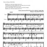 Elégie à Nelson Mandela (chant et guitare)