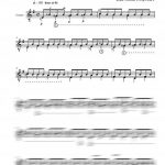 Notes florales VOLUME 2 (guitare)