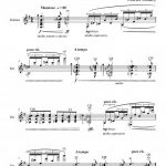 Brilliant Fantasy (guitare)