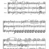 Original-Trio opus 29 (trio de flûtes)