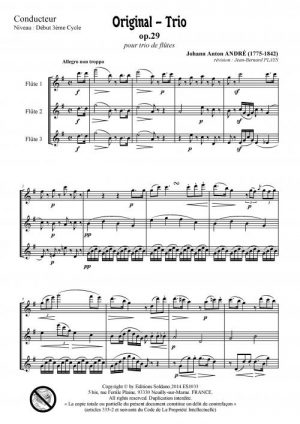 Original-Trio opus 29 (trio de flûtes)