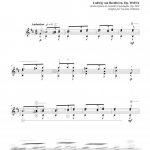 Minnelied (guitare)