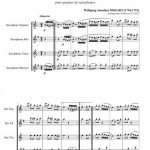 Marche Turque (quatuor de saxophones)