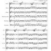 Concerto n°3 (ensemble de flûtes et violoncelle ad lib.)