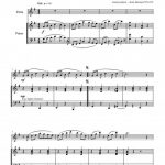 Nicoti rag (flûte et piano)