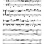 La basque / Les moissonneurs / La Morinéte (duo de guitares)