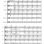 Tetrardus (orchestre à cordes)