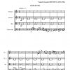 Deux pièces - Andante et Scherzo (quatuor à cordes)