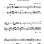 Lacs d'Irlande VOLUME 2 (flûte et guitare)