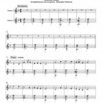 Scarborough fair (duo de guitares)