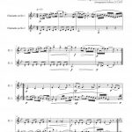 Alla Polacca (duo de clarinettes)