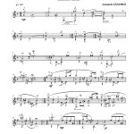 12 empreintes pour guitare