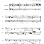 Alla Polacca (duo de trompettes)