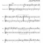 Pequenaz valse n°3 (duo de trompettes)