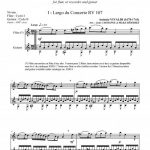 Concert en duo VOLUME 2 (flûte -ou flûte à bec- et guitare)