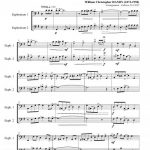 Saint Louis Blues (duo d'euphoniums)
