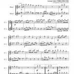 Rabbit's foot (duo de flûtes)