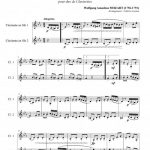 Marche Turque (duo de clarinettes)