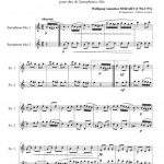 Marche Turque (duo de saxophones alto)
