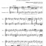 Marche Turque (duo de trompettes)