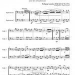 Marche Turque (duo d'euphoniums)