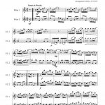 Maple leaf rag (duo de flûtes)