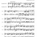Maple leaf rag (duo de saxophones alto)
