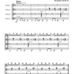 Ojos de brujas (quatuor de guitares)