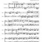 Maple leaf rag (duo de trombones)