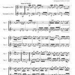 Maple leaf rag (duo de trompettes)
