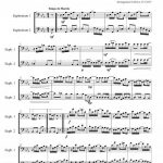 Maple leaf rag (duo d'euphoniums)