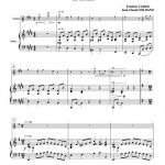 Irish dance (violon et piano)