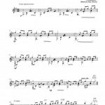 Taciturne (guitare)