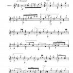 Notes latines VOLUME 1 (guitare)