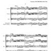 Concerto Grosso (2 violons solo-orchestre à cordes et basse continue)