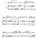 Parfum irlandais (flûte et piano)