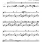 Die nacht (duo de guitares)
