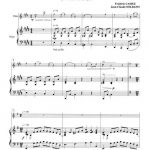 Irish dance (flûte ou hautbois et piano)