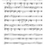 Irlandaise (flûte et guitare)