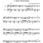 2 danses Sud-Américaines (flûte et guitare)