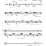 Amazonienne (flûte et guitare)