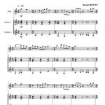 Ballade irlandaise (flûte et 2 guitares)