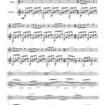 Celtic song (flûte et guitare)