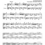Musette et Ecossaise (flûte et guitare)