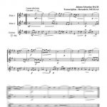 Variation Goldberg n°18 (guitare et deux flûtes)