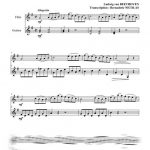 Sonatine en sol majeur (flûte et guitare)