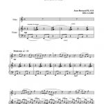 Les oiseaux du Japon (flûte et harpe)