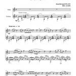 Les oiseaux du Japon (flûte et guitare)